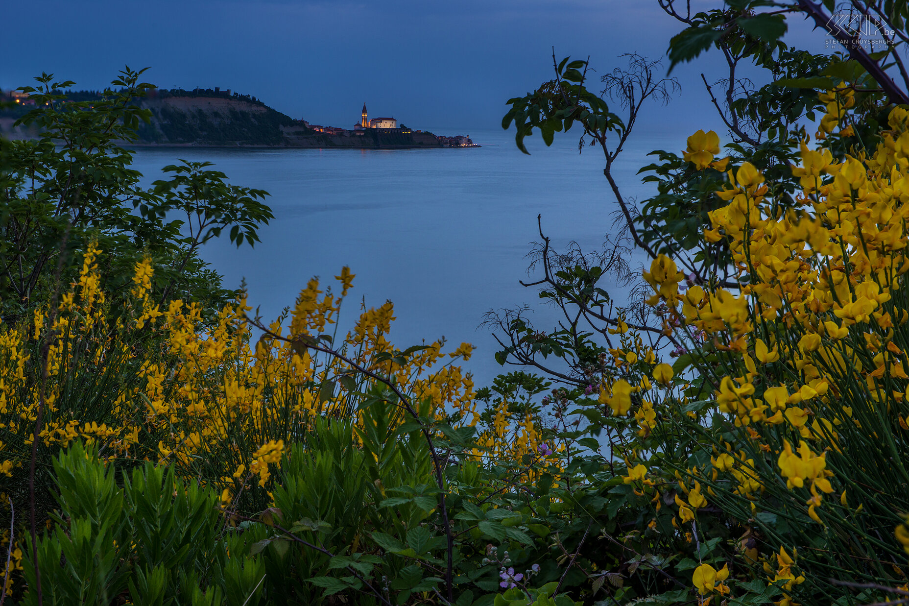 Piran by night  Stefan Cruysberghs